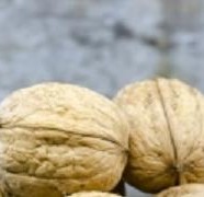 Healthy Sperm? It’s all in the nuts