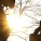 Solar Technology leaps forward