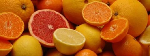 citrus fruit480