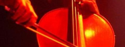 A cello by Tim Hall