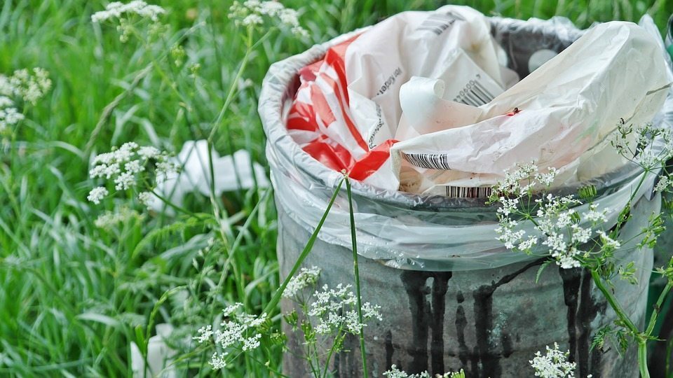 Prenatal Bpa Exposure Linked To Anxiety >> For Happy Sons Avoid These Plastics In Pregnancy Prenatal Bpa Exposure Linked To Anxiety >> For Happy Sons Avoid These Plastics In Pregnancy