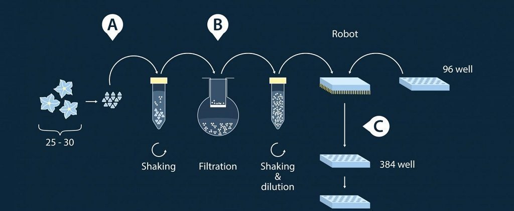 chemical-screening-assay-procedure-moscow-institute-of-physics-and-technology-1024