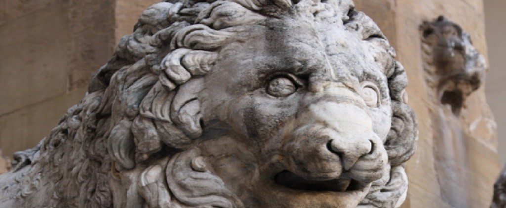 lion