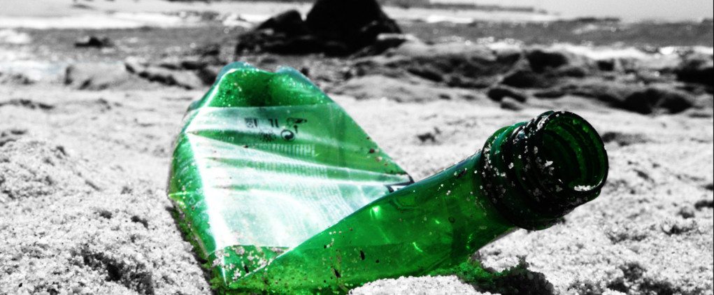 Plastic pollution doesn't just wash up on the beach - it is a threat to the whole of our environment.
