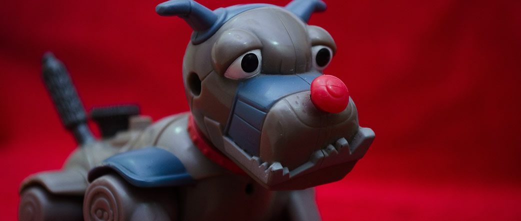 robot dog