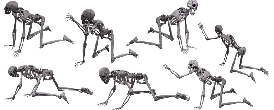 skeletons