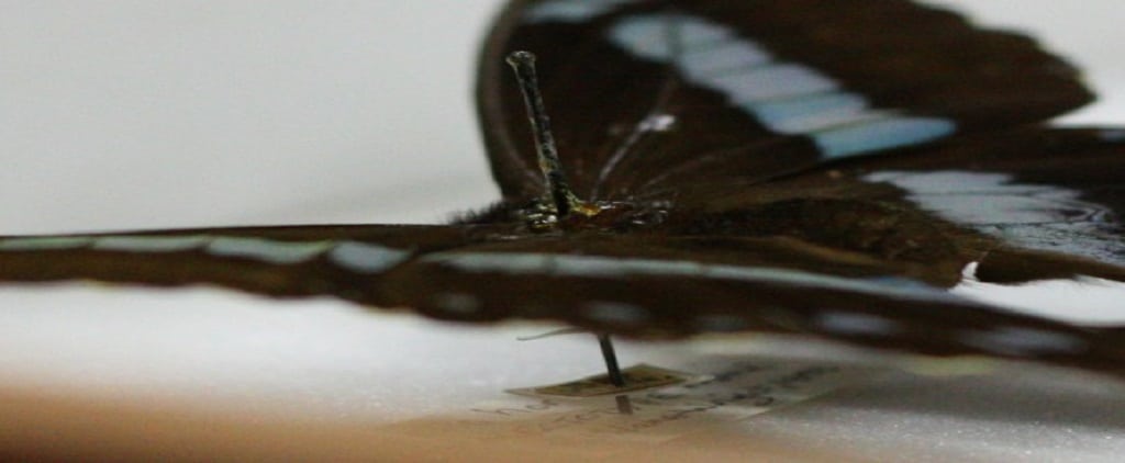 title image