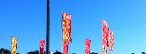 Womad480