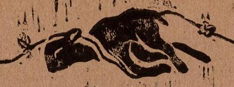 dionysus480
