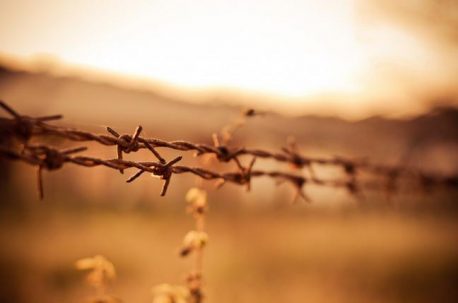 A picture of barbed wire by Victor Hanacek
