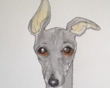 dog by dan booth
