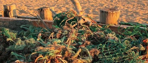 knots feature