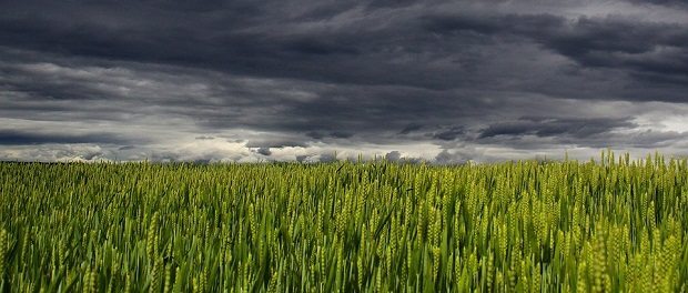climate engineering climate engineering