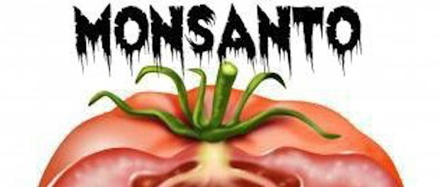 monsantotomato_640-620x264 March against Monsanto