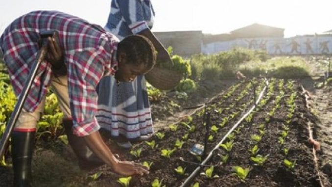 greenmatter-global-sustainability-project-by-frontiers-in-ecology-and-the-environment-1024