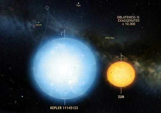 nature's roundest thing