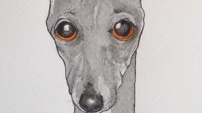 dooooog-1024 sad dog