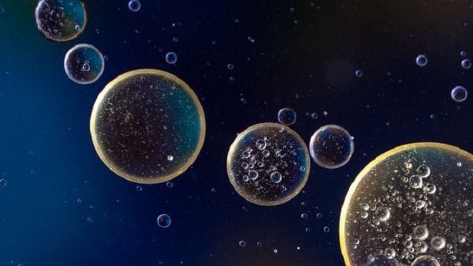 cells and bubbles by pixabay and the3cats 1024