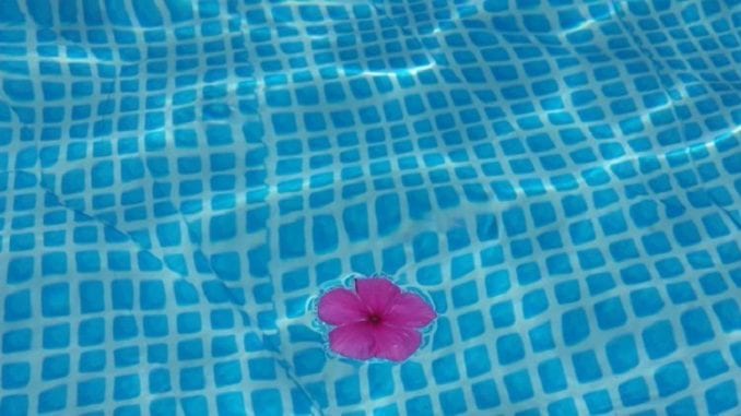flower in pool by pixabay and alondav 1024 flower in pool by pixabay and alondav 1024