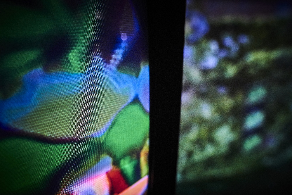 James Alec Hardy, Installation, Photo by Kristof Jeney View